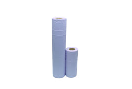 2Work 2-Ply Hygiene Roll 10 Inch Blue (Pack of 24) F03806