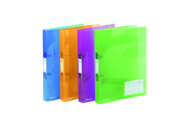 Rexel Ice 2 Ring Binder 25mm Polypropylene A4 Assorted (Pack of 10) 2102044