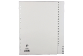 A4 White 1-31 Polypropylene Index WX01357