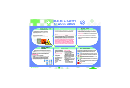 Wallace Cameron Health and Safety At Work Poster 590x420mm 5405023